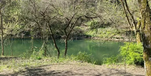 Buffalo Creek west virginia